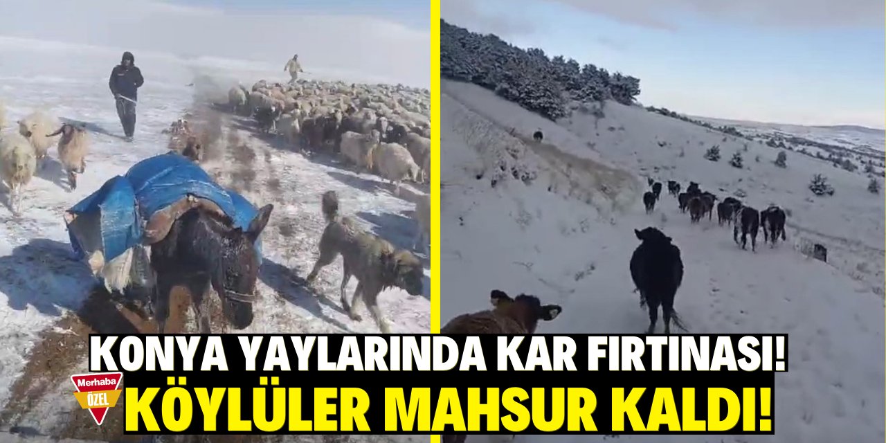 Konya yaylarında kar fırtınası! Köylüler mahsur kaldı!