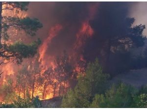 Mersin'de Geçen Yıl Çıkan 987 Yangında 509 Hektar Alan Yandı