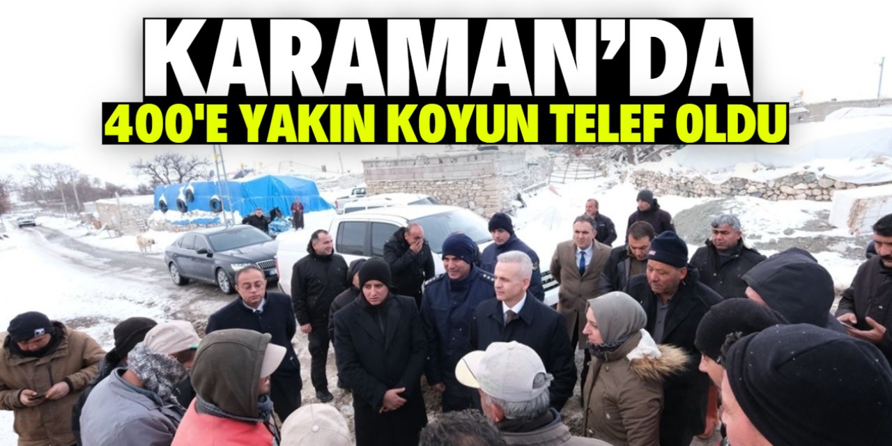 Karaman'da 400'e yakın koyun donarak telef oldu