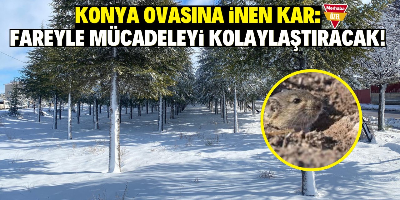 Konya ovasına inen kar: Fareyle mücadeleyi kolaylaştıracak!