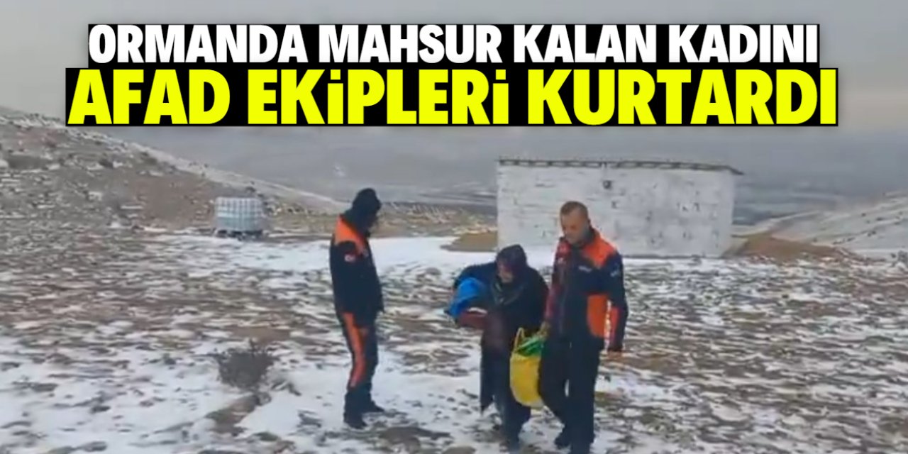 Ormanda mahsur kalan kadını AFAD ekipleri kurtardı