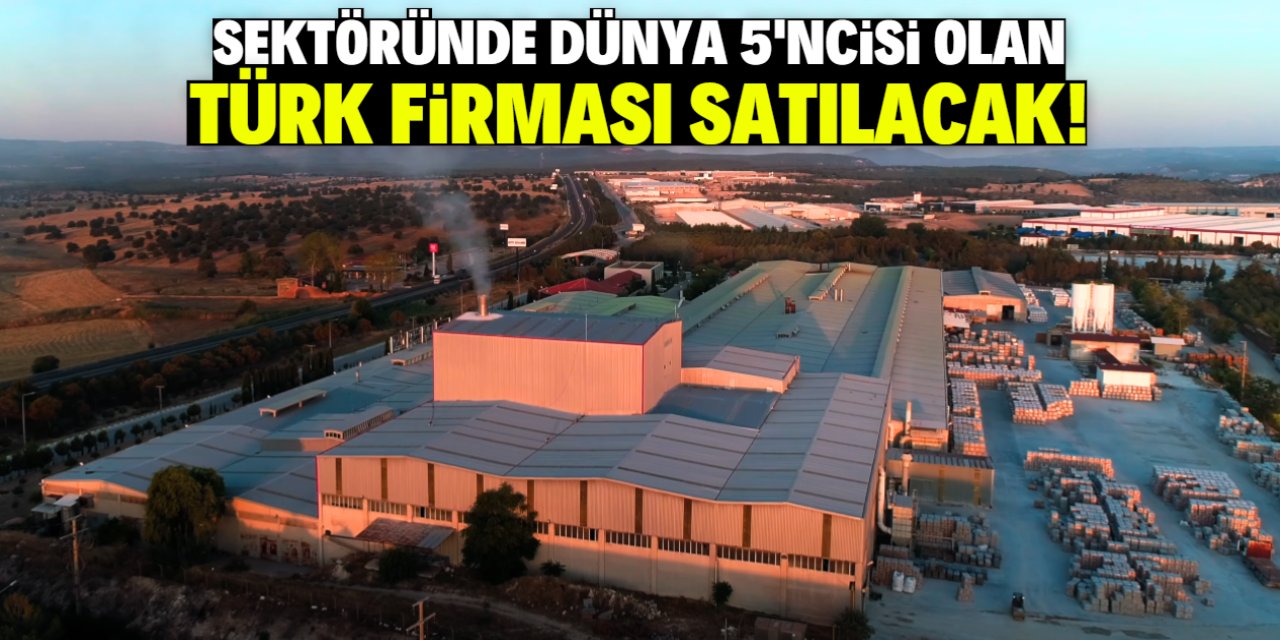 Sektöründe dünya 5'ncisi olan Türk firması satılacak!