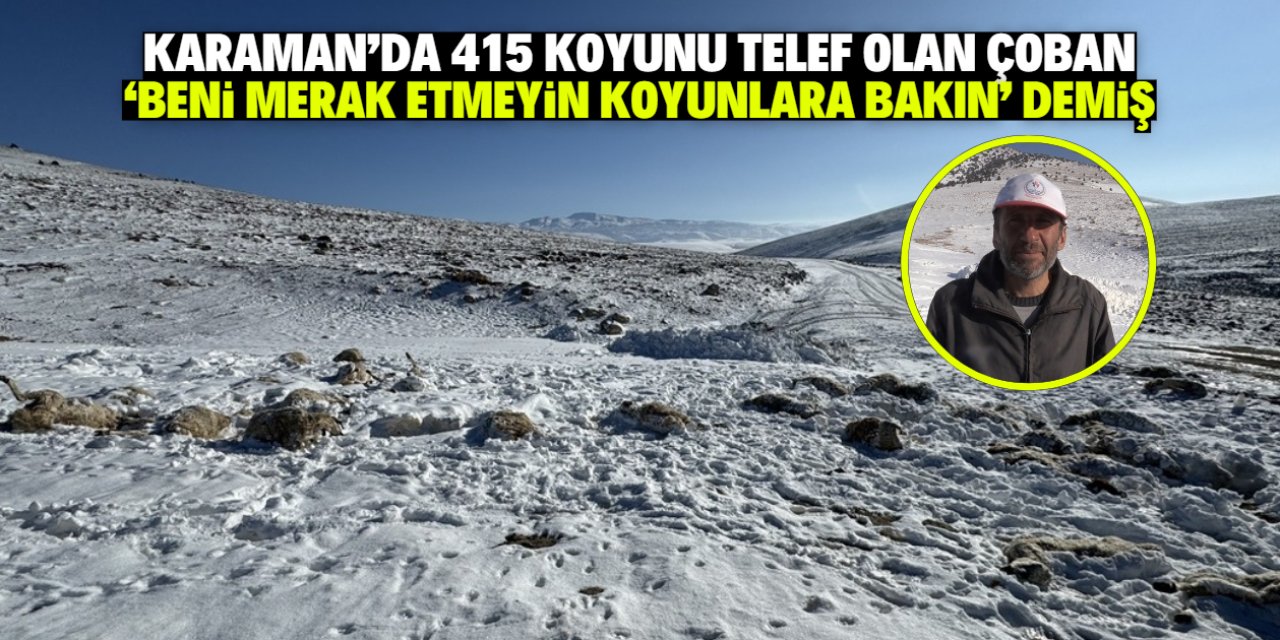 415 koyunu telef olan çoban göz doldurdu! Beni merak etmeyin koyunlara bakın demiş