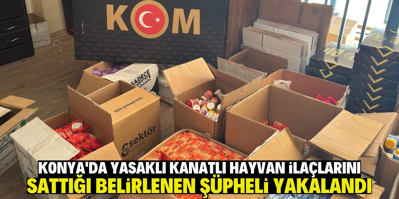 Konya'da yasaklı kanatlı hayvan ilaçlarını sattığı belirlenen şüpheli yakalandı