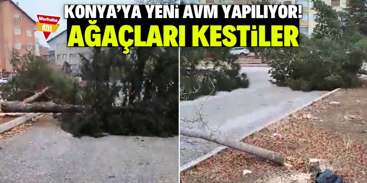 Konya'ya yeni AVM yapılıyor! Ağaçları kestiler