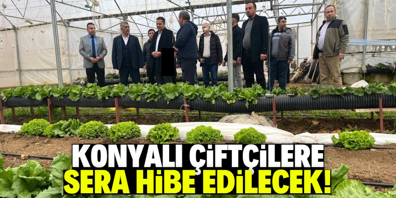 Konyalı çiftçilere sera hibe edilecek! Proje sevindirdi