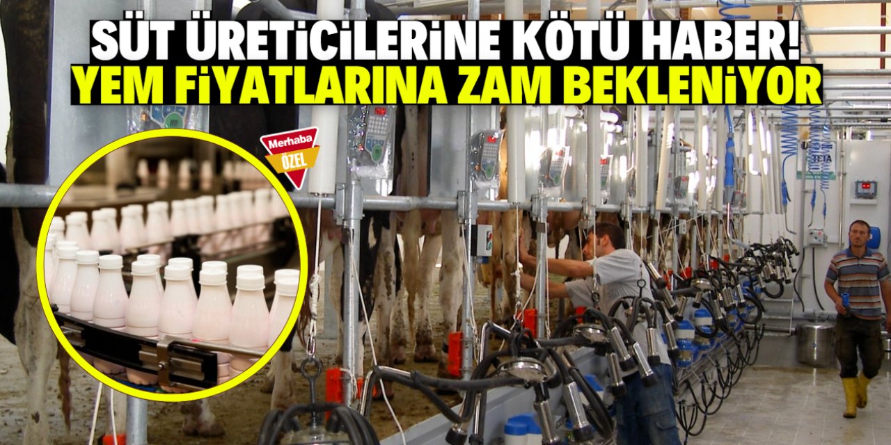 Süt üreticilerine kötü haber! Yem fiyatlarına zam bekleniyor