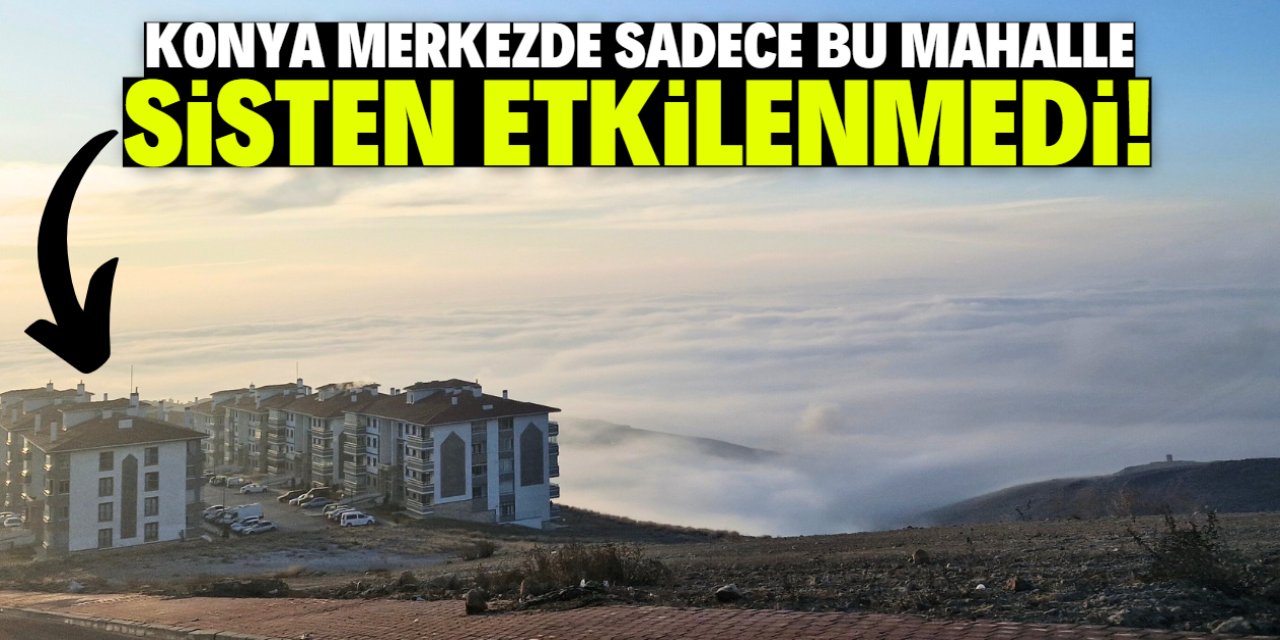 Konya merkezde sadece 1 mahalle sisten etkilenmedi! İşte o konum