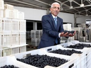 Marmarabirlik, Ürün Alımlarını Sonlandırıyor