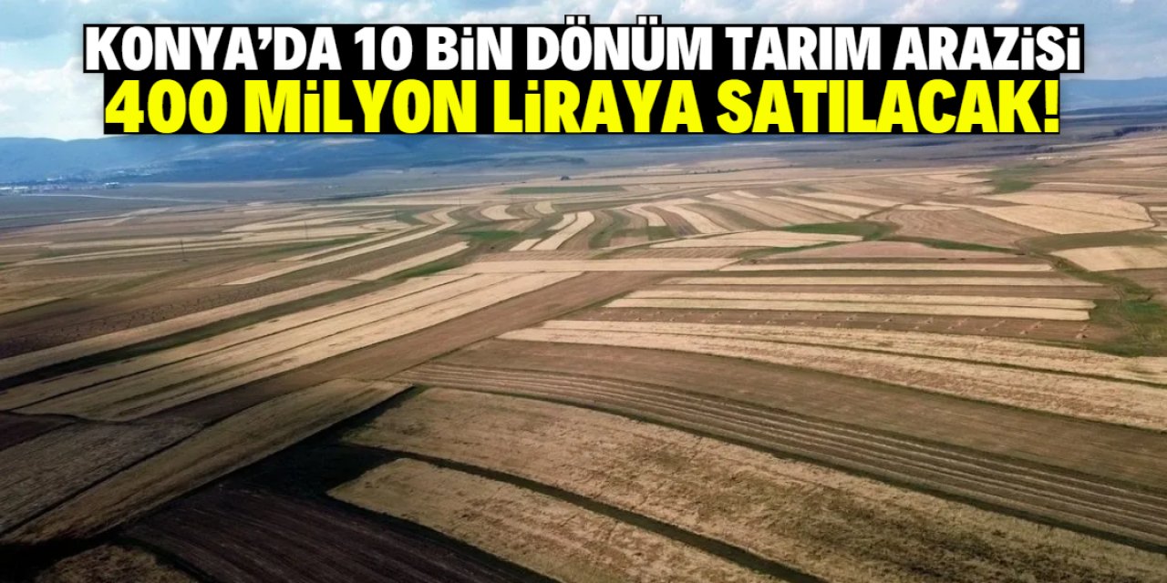 Konyalı çiftçi 10 bin dönüm tarlasını satışa çıkardı! Fiyatı 400 milyon lira