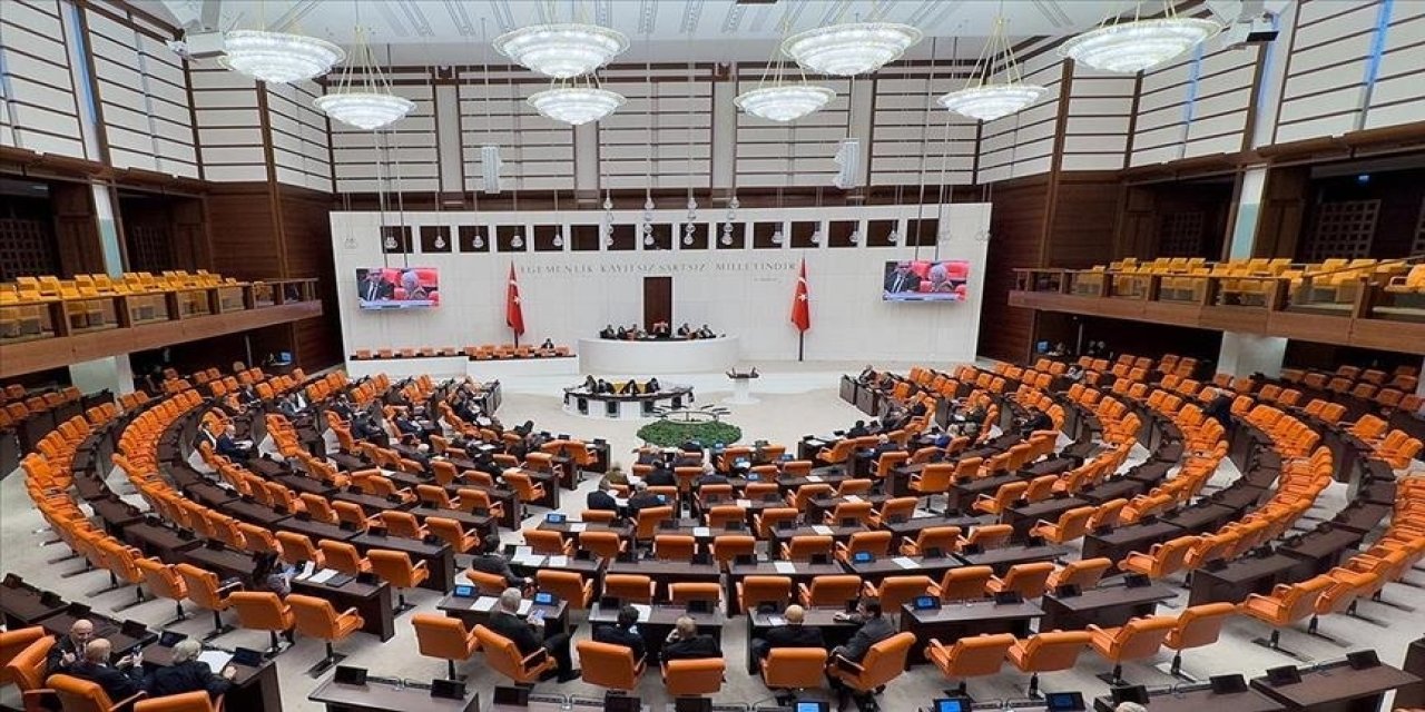 Bağımsız milletvekili sayısı, 28. Yasama Dönemi'nde zirveye çıktı