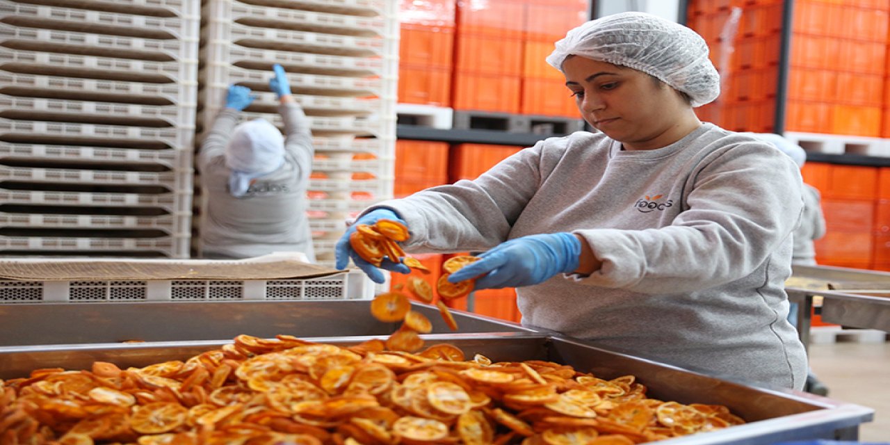 Mühendisliği bıraktı tesis kurdu: Şimdi 50 kişi istihdam ediyor!