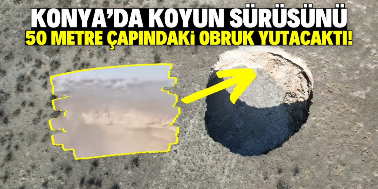 Koyun sürüsünü 50 metre çapındaki obruk yutacaktı! İşte o anlar