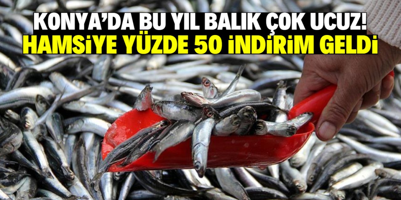 Konya'da balık fiyatları sevindirdi! Hamsiye yüzde 50 indirim geldi