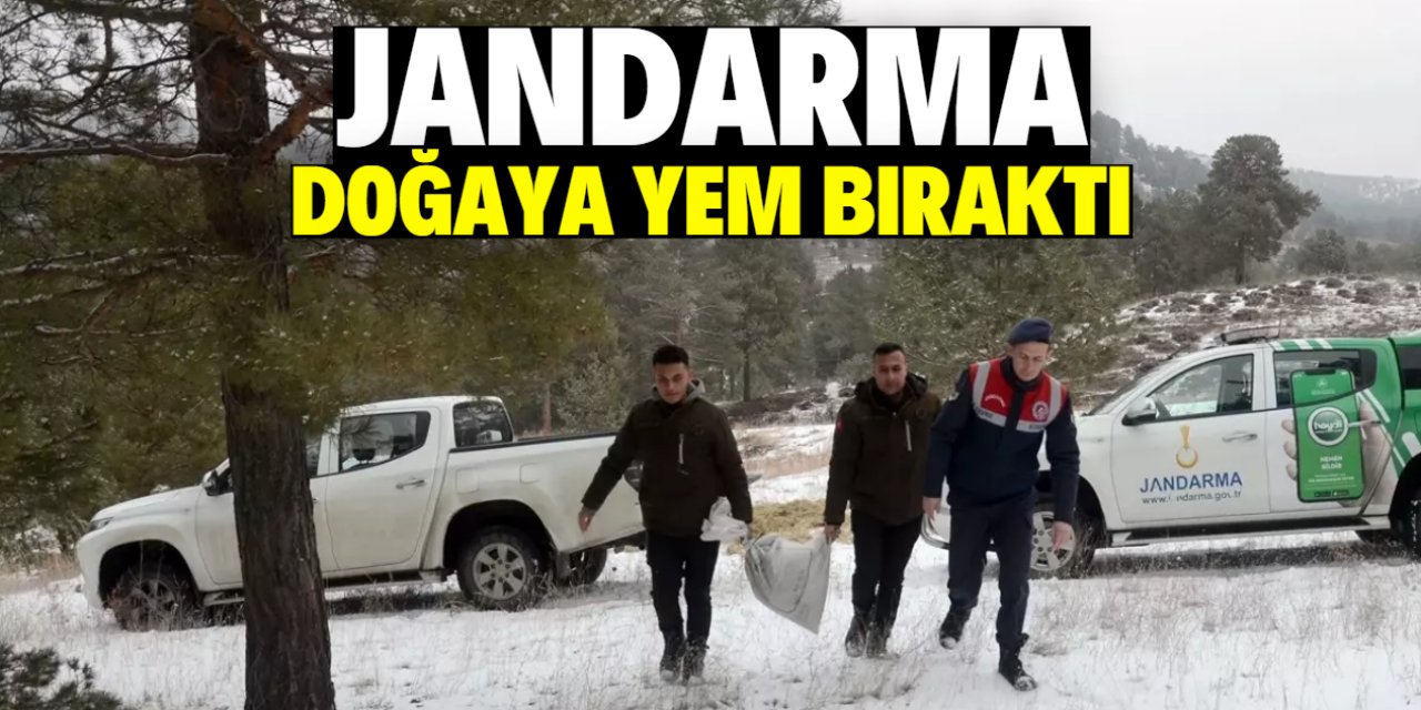 Jandarma sahipsiz köpek ve yaban hayvanları için doğaya yem bıraktı