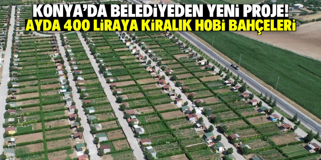 Konya'da belediyeden yeni proje! Ayda 400 liraya hobi bahçeleri kiraya verilecek