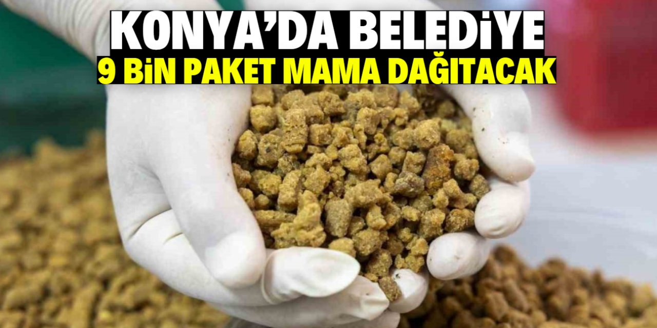Konya'da belediye 9 bin paket köpek maması dağıtacak! İşte konumu