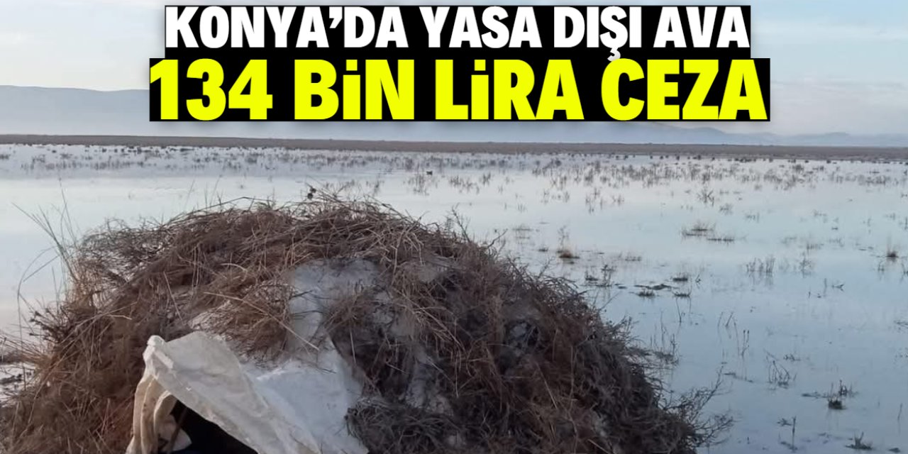 Konya'da yasa dışı ava 134 bin 916 lira para cezası