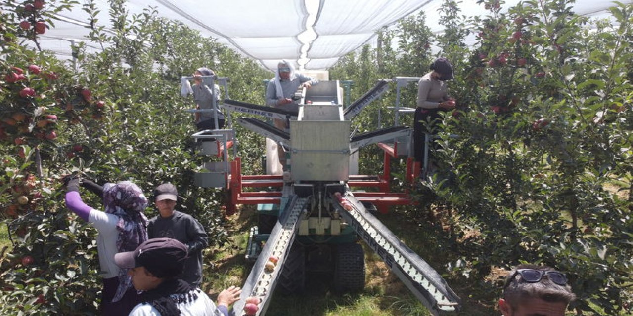 Elmada ihracat başarısı