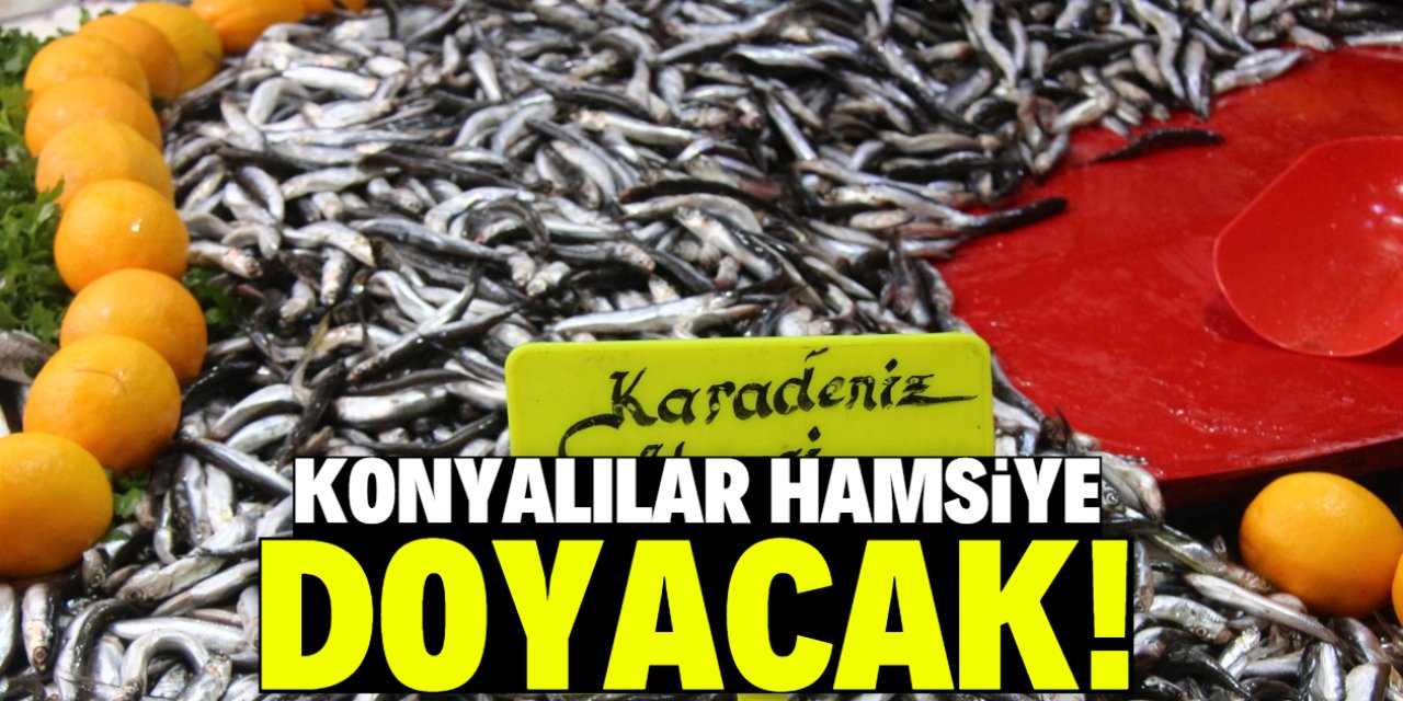 Konyalılar hamsiye doyacak! Fiyatlar dibi gördü