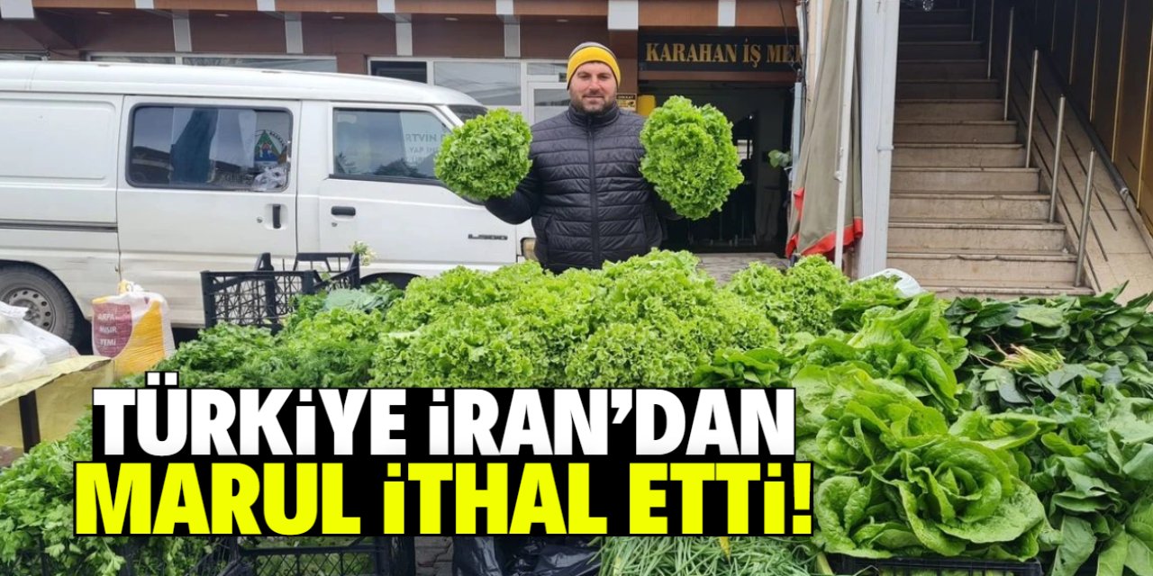Türkiye İran'dan marul ithal etti! Çiftçi sert tepki gösterdi