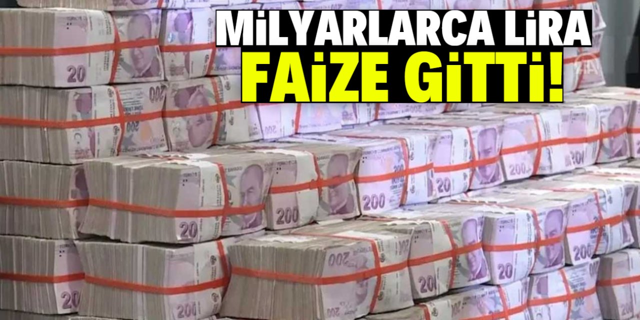 Milyarlarca lira faize gitti!