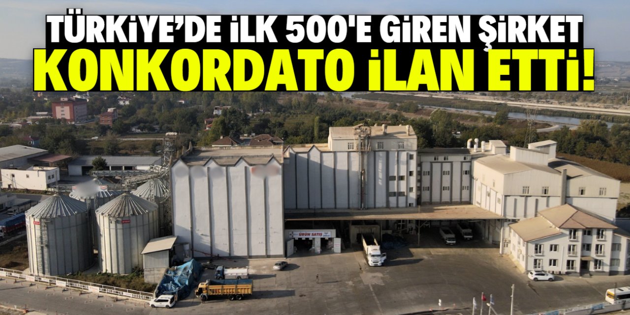 Türkiye'de ilk 500'e giren şirket konkordato ilan etti! 3 ay süre verildi