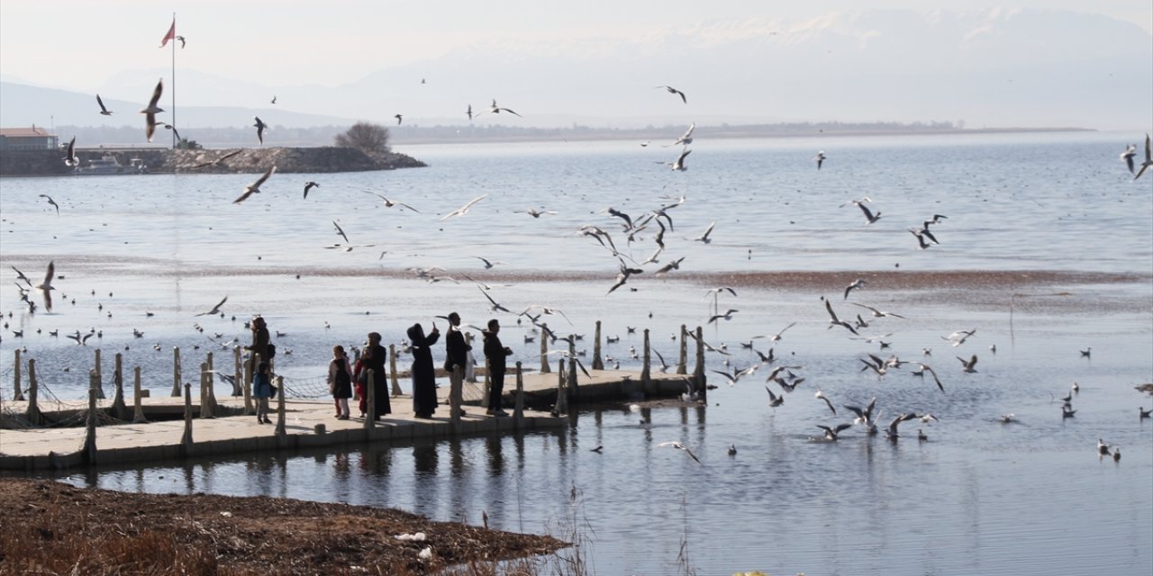 Konya hava sahasından 300 bin kuş geçti