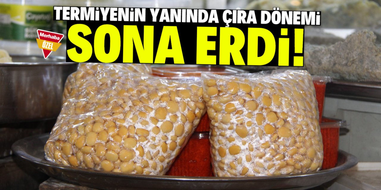 Termiyenin yanında çıra dönemi sona erdi! Kilosu 50 TL