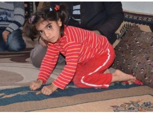 Beyni Oksijensiz Kalan Seher, Yürümek İçin Uzanacak El Bekliyor