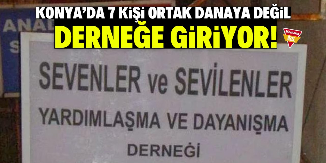 Konya’da 7 kişi ortak danaya değil derneğe giriyor!
