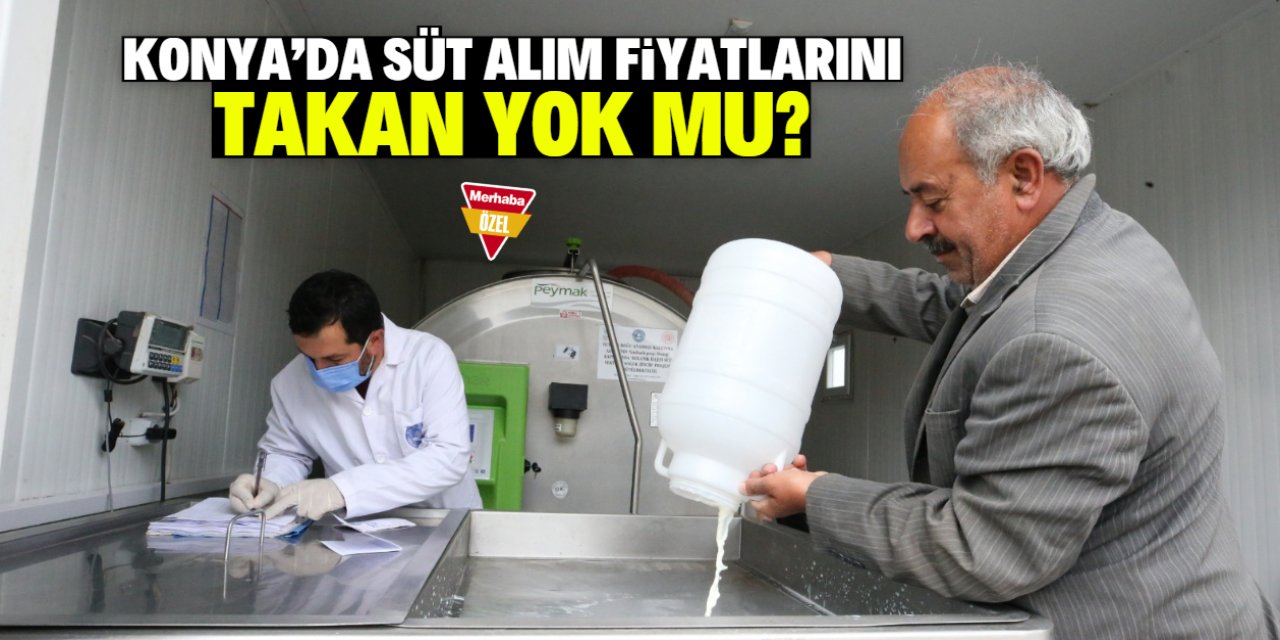 Konya'da süt alım fiyatlarını takan yok mu?