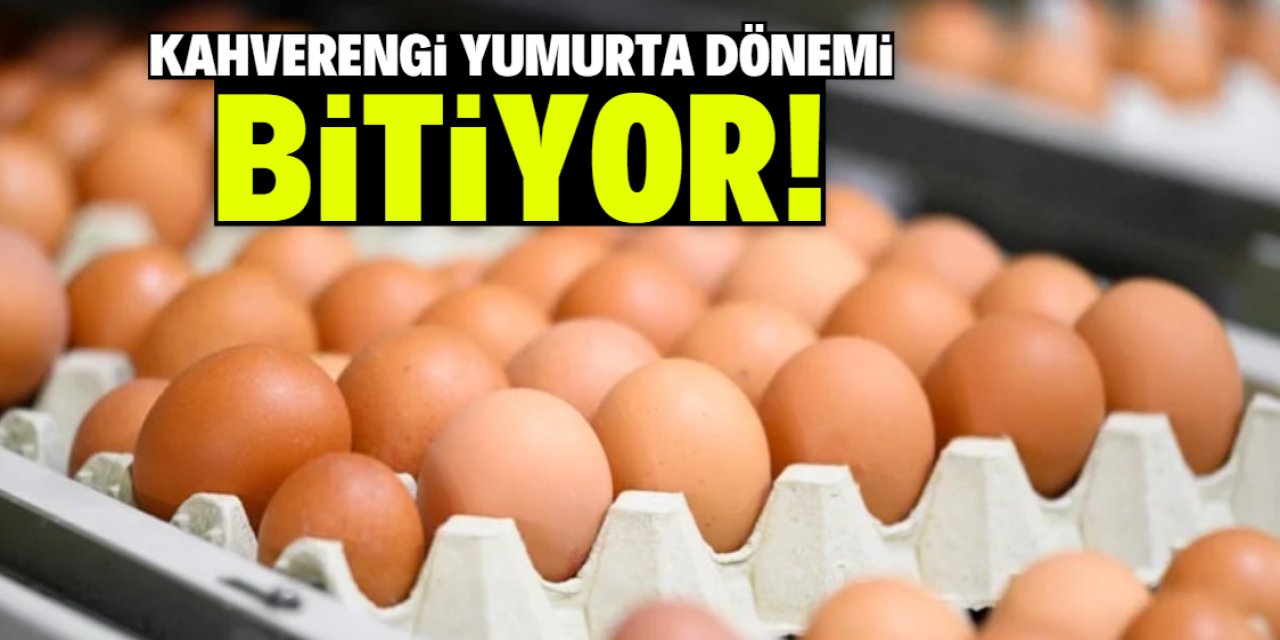 Kahverengi yumurta dönemi bitiyor! İşte nedeni
