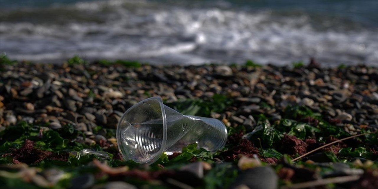 Körfezde kirliliğinin 4 mevsim sürdüğü belirlendi