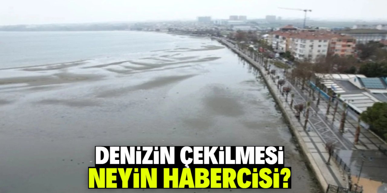 Denizin çekilmesi neyin habercisi? Riskli bölgede yaşandı