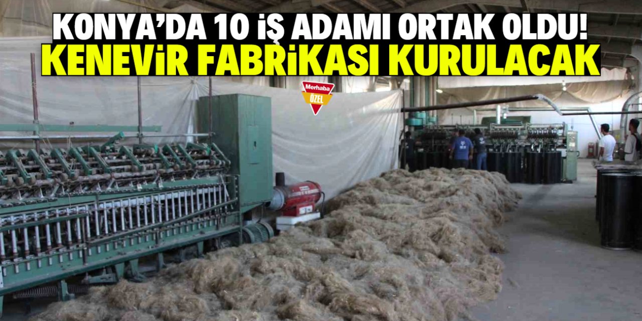 Konya'da 10 iş adamı ortak oldu! Kenevir fabrikası kuracaklar