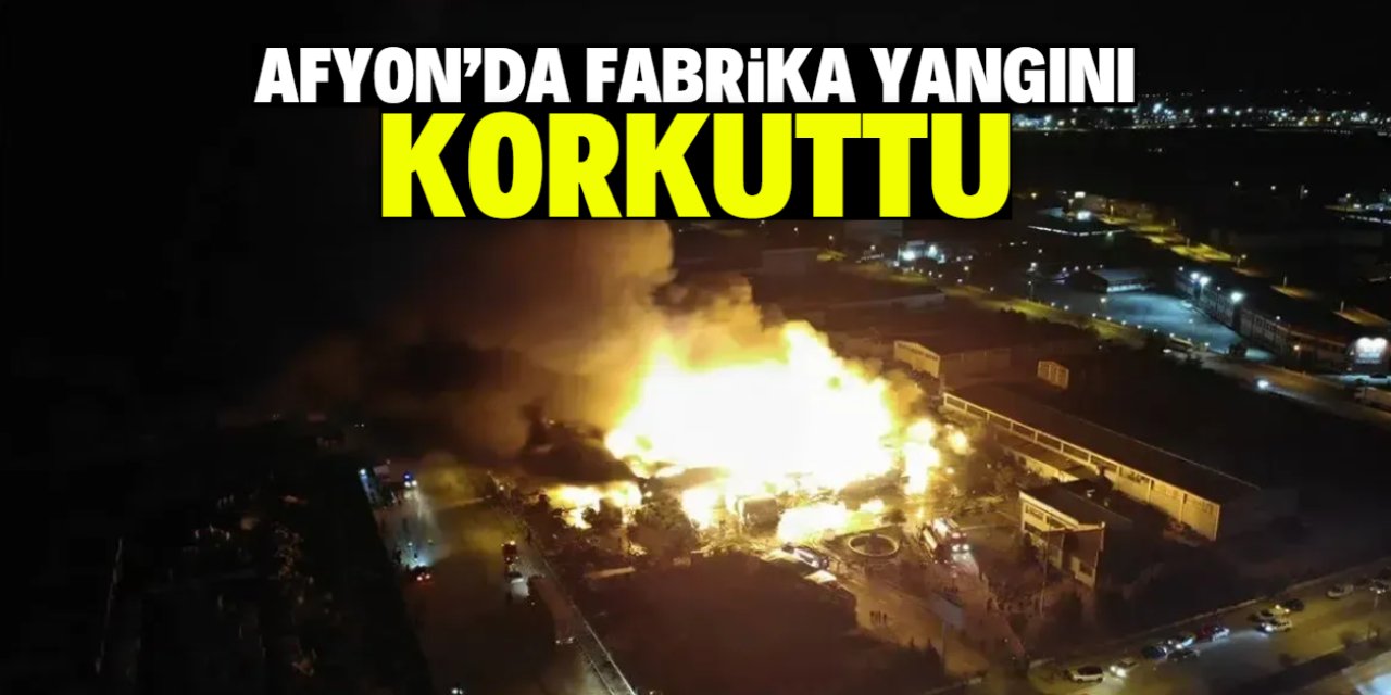 Afyon'da fabrika yangını korkuttu