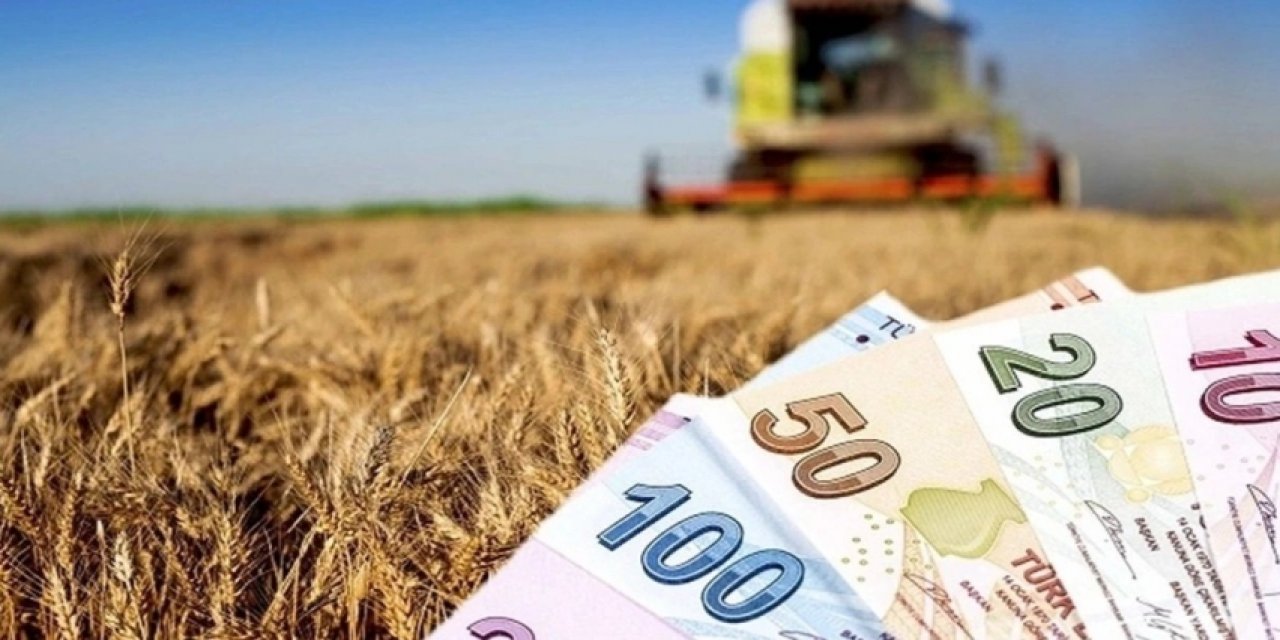 Tarımda Destekler Yetersiz
