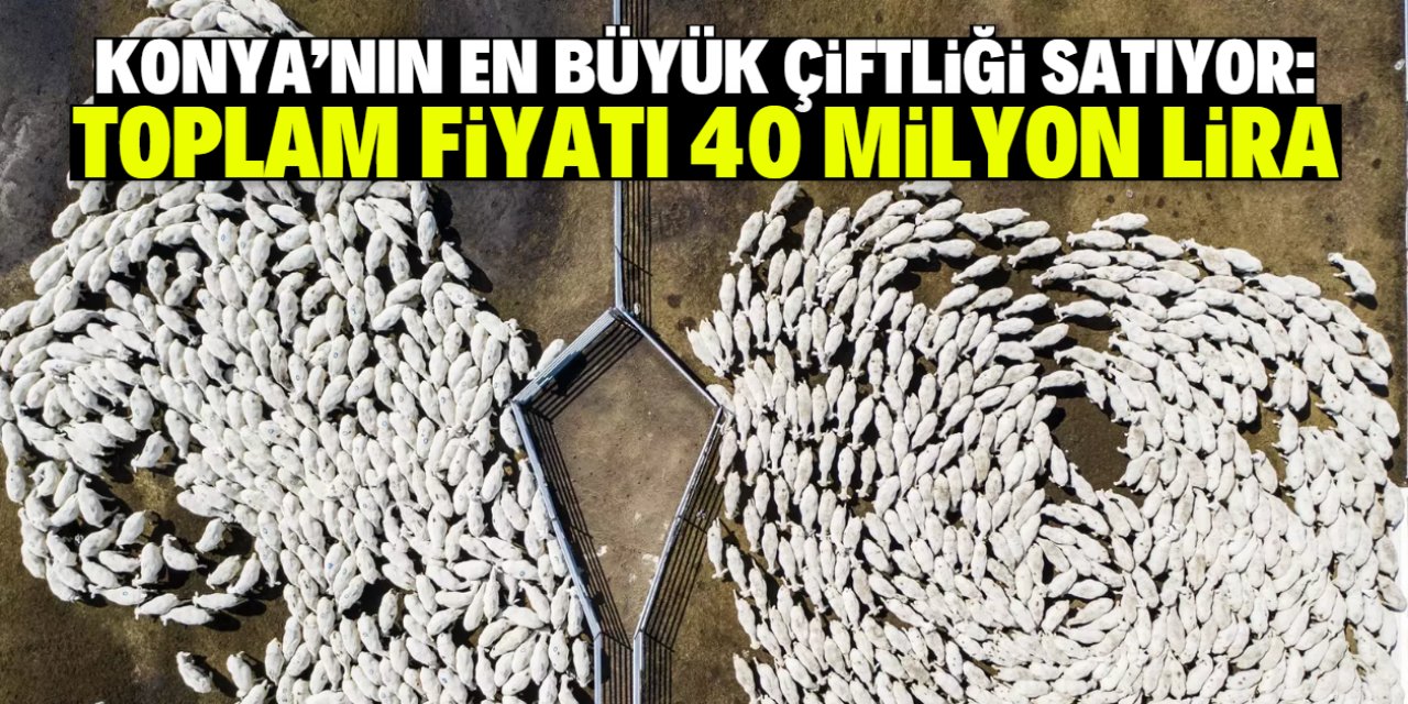 Konya'nın en büyük çiftliği satıyor: Toplam fiyatı 40 milyon lira