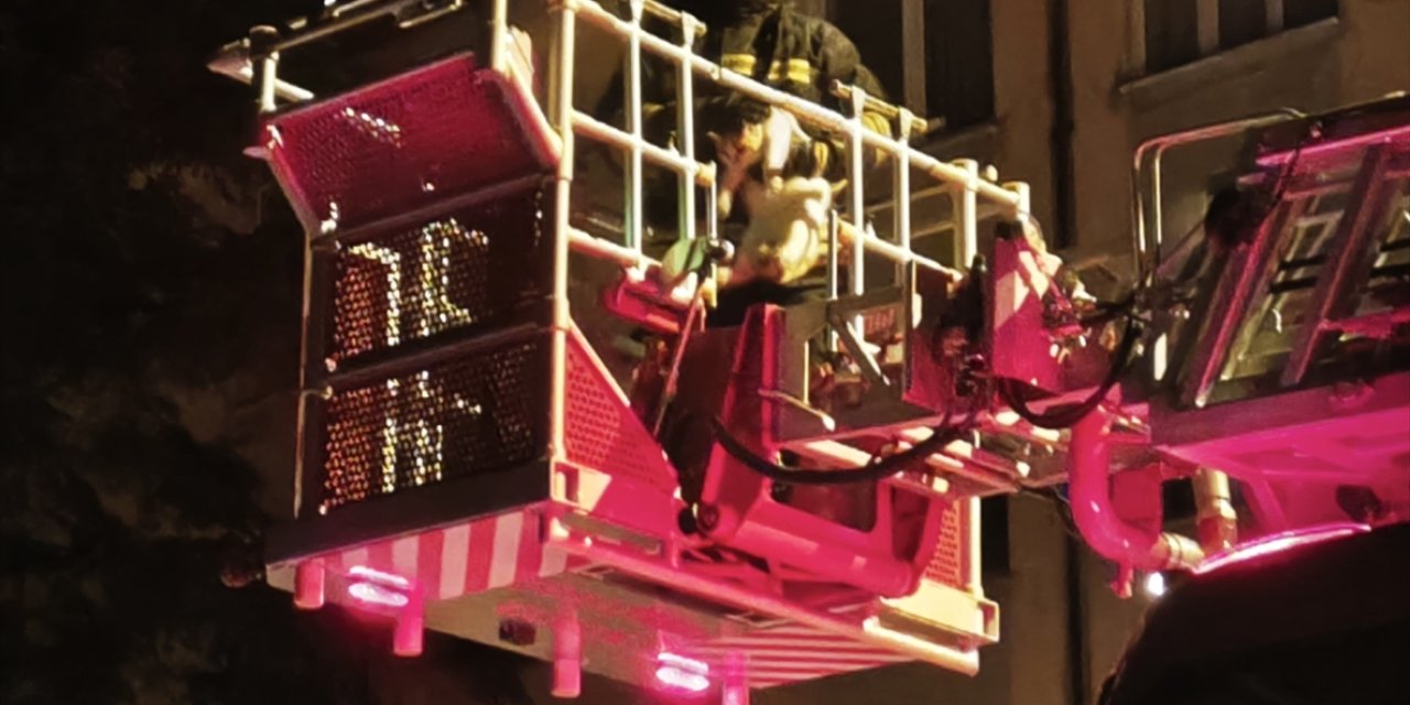 Konya'da ağaçta mahsur kalan kediyi itfaiye ekibi kurtardı