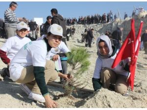 Adana’da Son 10 Yılda 124 Milyon Ağaç Dikildi