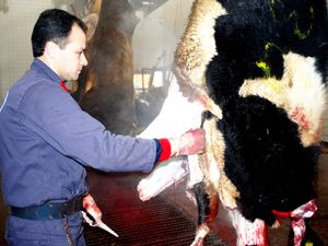 Canlı hayvan sıkıntısı et fiyatını artırıyor