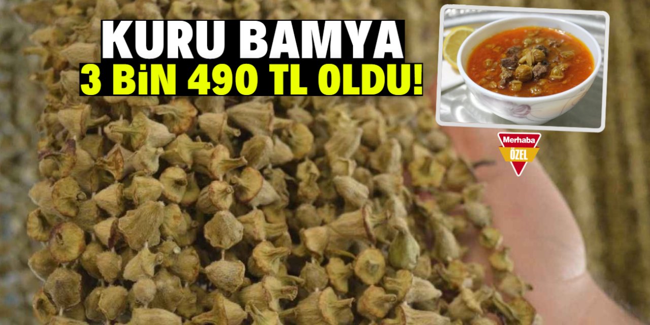 Selçuklu döneminde saray sofrasından çıkan lezzet, sarayına geri döndü!