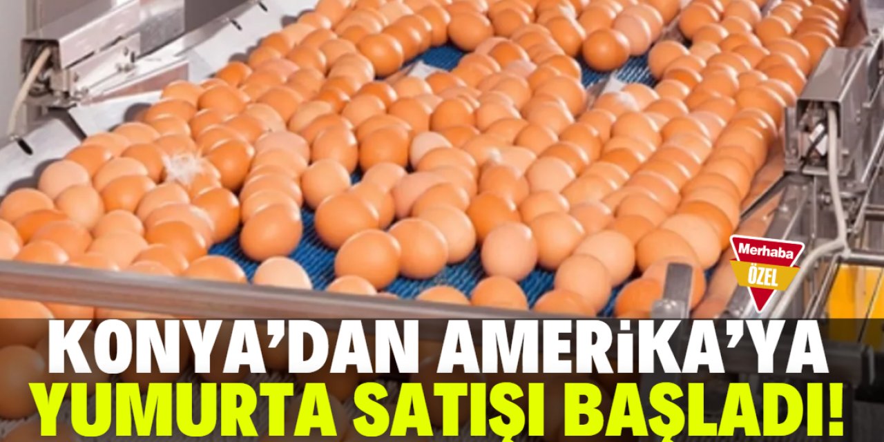 Konya'dan Amerika'ya yumurta satışı başladı!