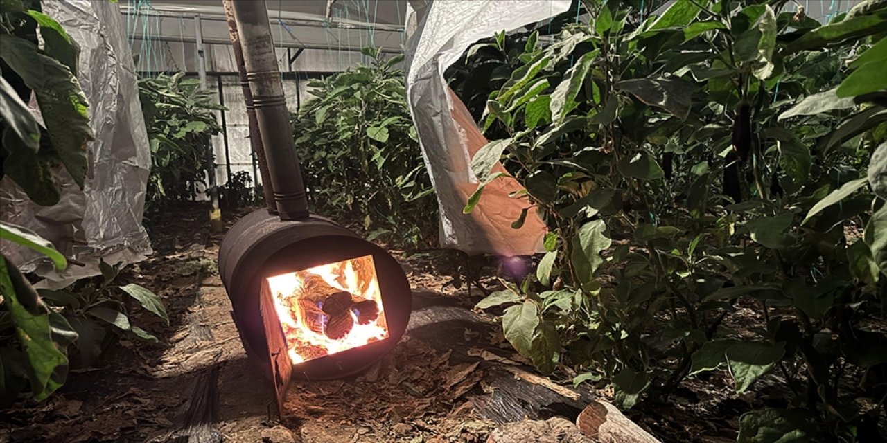 Soğuk hava ürünü vurdu! Meterorolojiden zirai don uyarısı