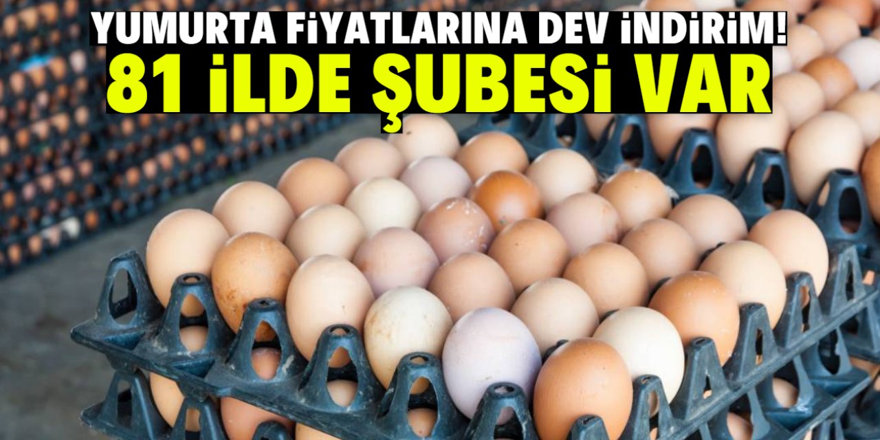 Yumurta en ucuz bu markette satılıyor! 81 ilde şubesi var