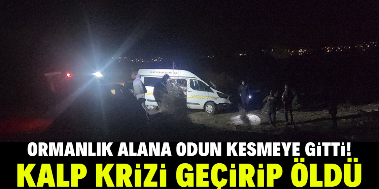 Ormanlık alana odun kesmeye giden kişi kalp krizi sonucu öldü