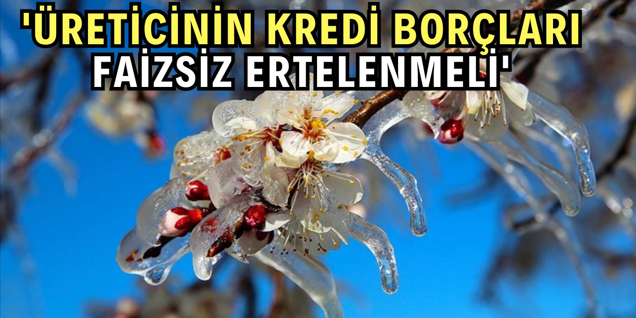 Zirai don mağdur etti, üretici faizsiz erteleme istiyor