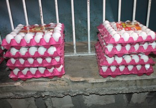 Yumurta hırsızları yakalandı