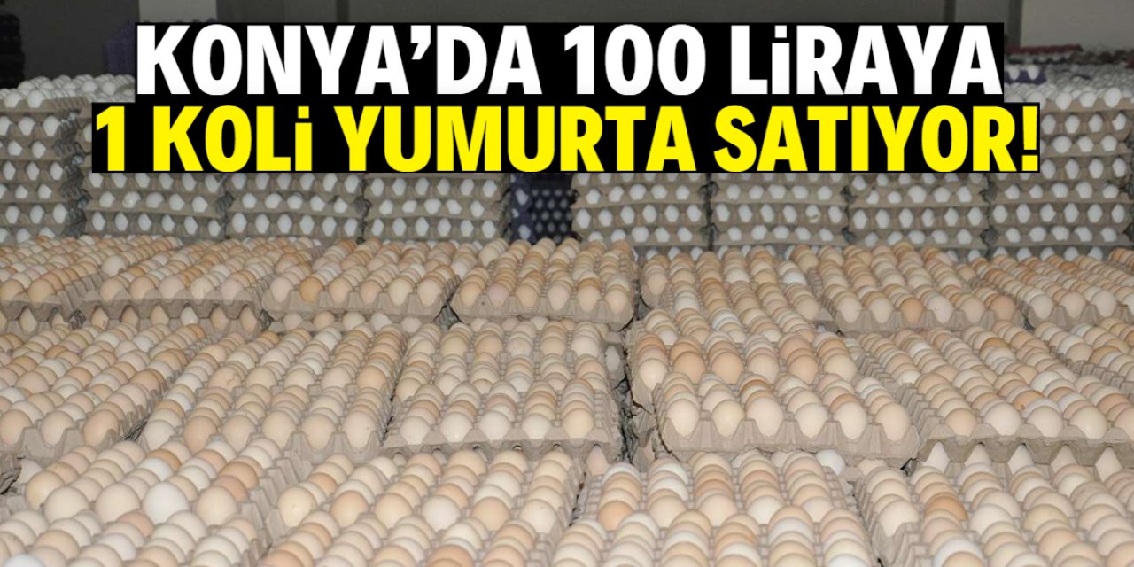 Konya'da 100 liraya 1 koli yumurta satışı başladı!